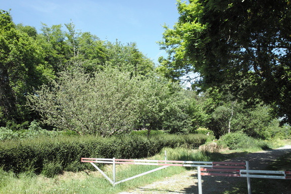 20090714 200801